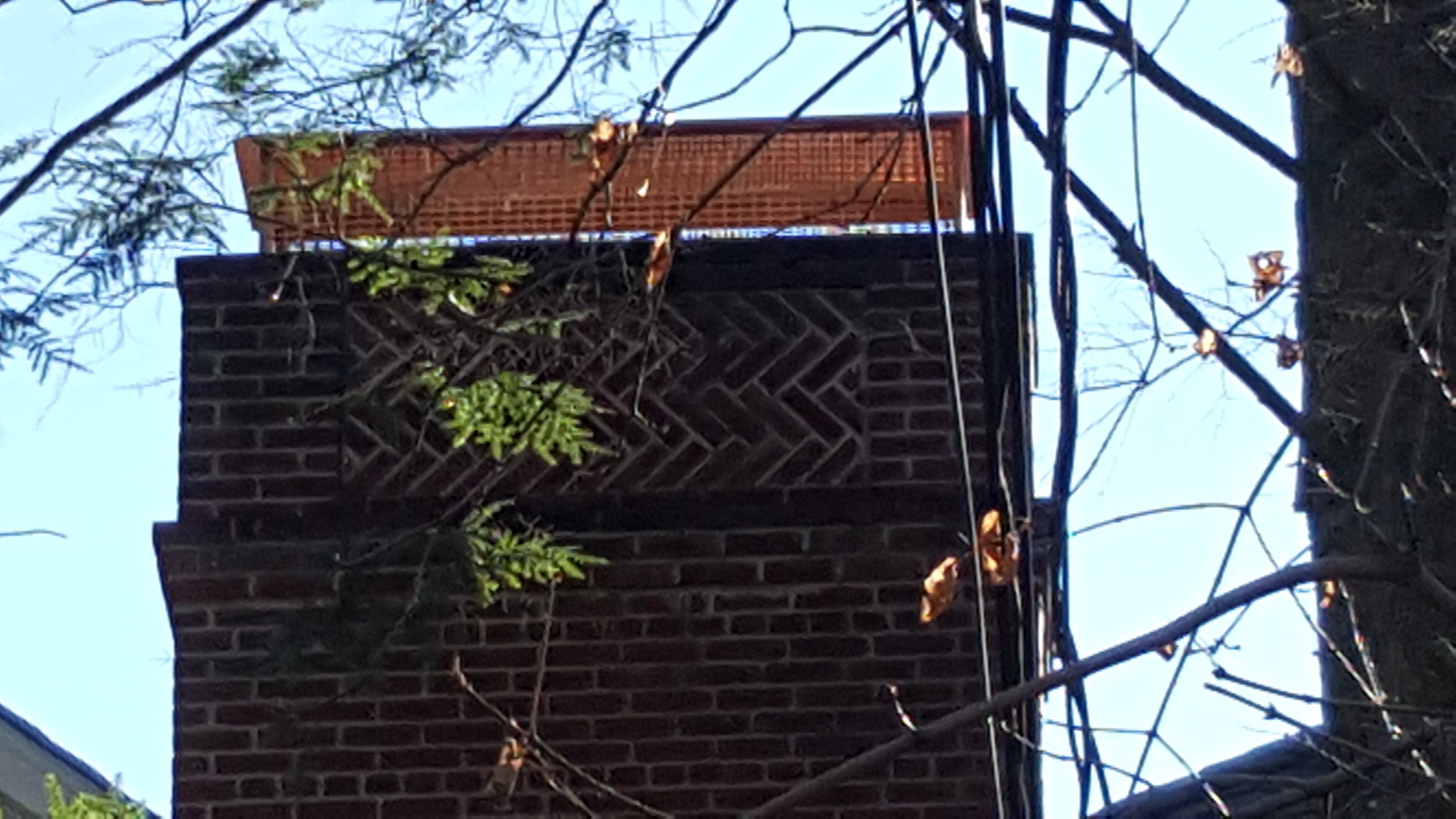 Animal-proof chimney cap protecting home in Valley Stream, New York